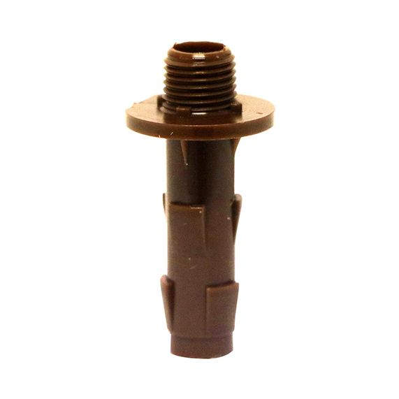 Rac.Polya.D.10 Pr H.Pied Bois M.10X1