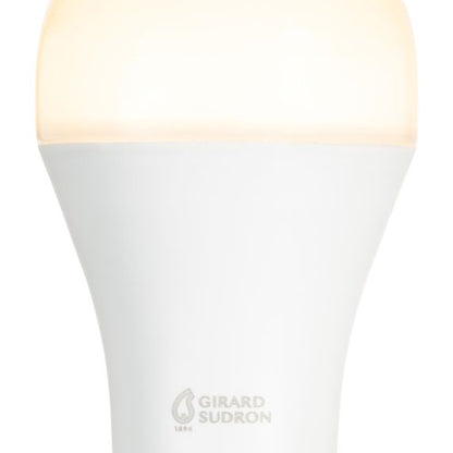 Standard A60 LED 300° 18W E27 2700K 1900Lm