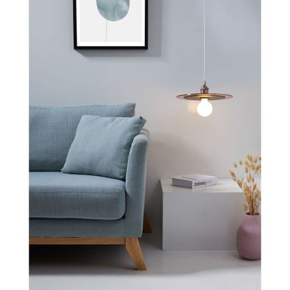 Disques Pour Suspensions Cuivre Et Noir (