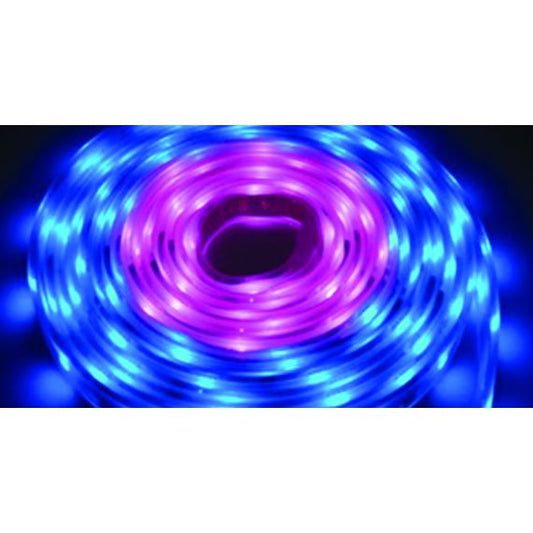 FS Ruledfl/5060Smd/-36W/5.0M/Ip00/Magic