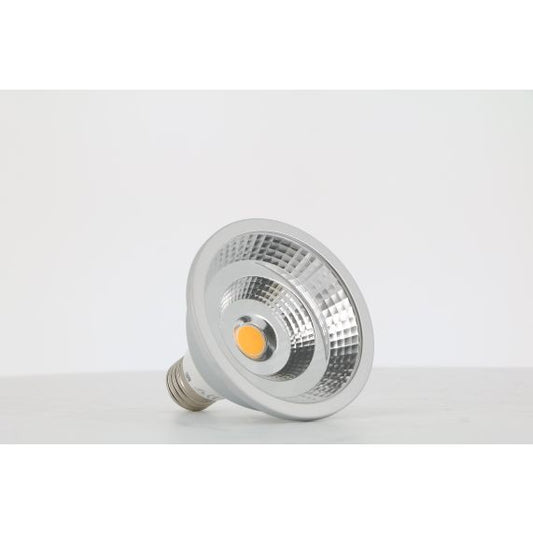 FS Spot PAR 30 LED 10W E27 3000K Dim. COB