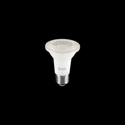 Par 20 6W E27 2700K