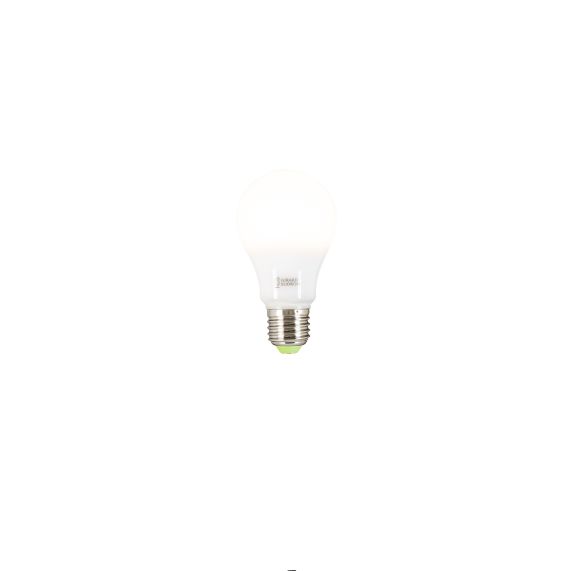 Standard A65 LED 330° 8W E27 2700K 700Lm Eclairage de Secours 2H