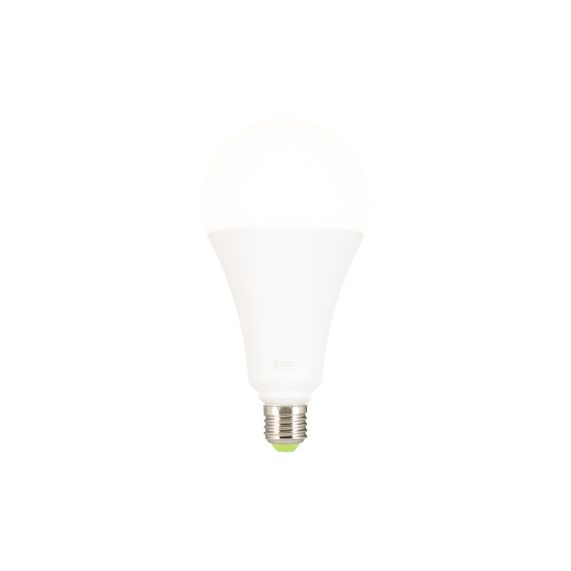Globe A120 LED 330° 30W 2700K 2800Lm Dépoli