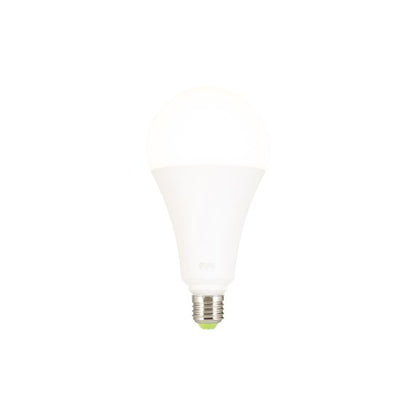 Globe A120 LED 330° 30W 2700K 2800Lm Dépoli