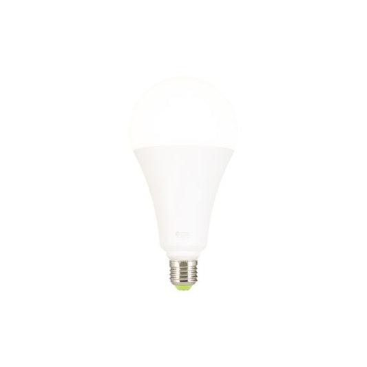 Globe A120 LED 330° 30W 2700K 2800Lm Dépoli