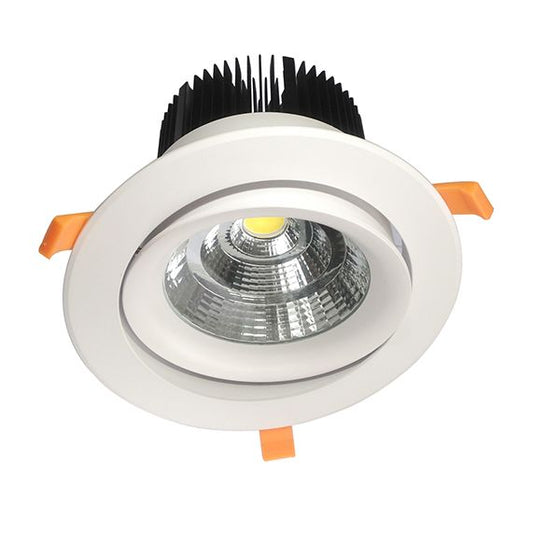 Cavell Spot LED encastré inclinable IP42 - 50W - 4000K - 200 mA - Blanc + Driver 168877 inclus