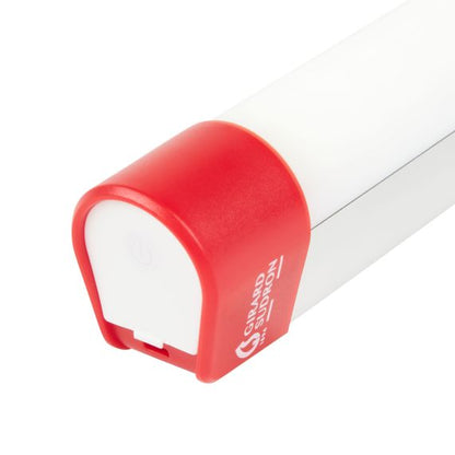 Dione - Batterie tube LED de secours 194x32.5x40 4W 6000K