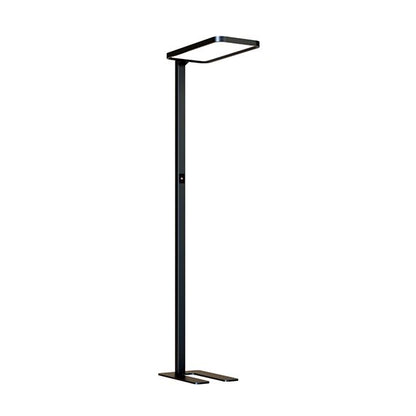 Calyce - Lampadaire LED 610x310x1950 80W 4000K 7040lm 120° noir Dim PIR