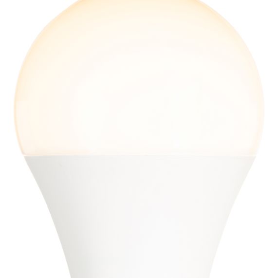Globe A120 LED 330° 30W 2700K 2800Lm Dépoli