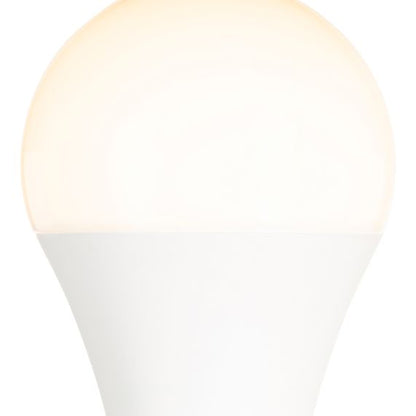 Globe A120 LED 330° 30W 2700K 2800Lm Dépoli