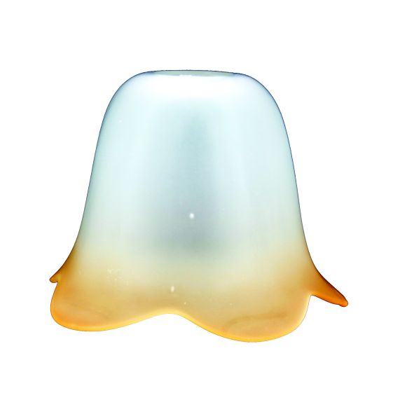 Tulipe 5Petales Sat Bd Amb T28