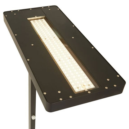 Autonoe - Lampadaire LED 610x280x1950 60W 4000K 5400lm 120° noir Dim PIR