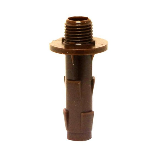 Rac.Polya.D.10 Pr H.Pied Bois M.10X1