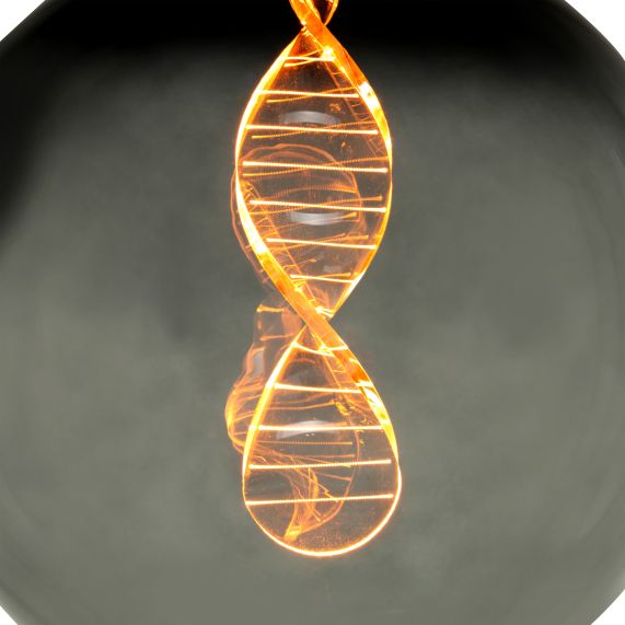 Globe G125 E27 Smokey 3,5W 55lm 1800K dim