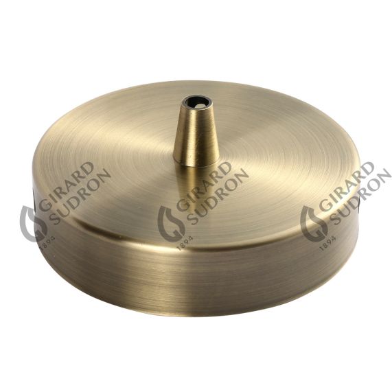 Plafonnier Acier 1 sortie D100mm Léton + arrêt de cable D7mm