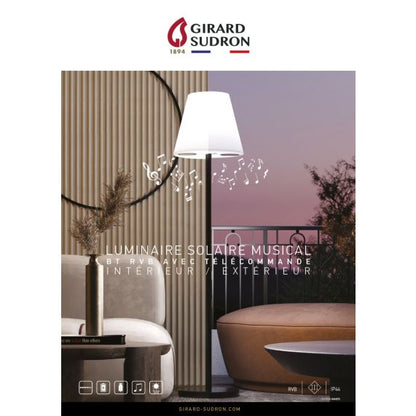 Lampadaire solaire led RGB musical BT telecommande Summer IP44 340x1500mm