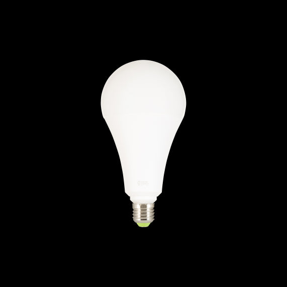 Globe A120 LED 330° 30W 2700K 2800Lm Dépoli