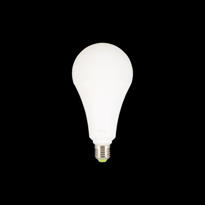 Globe A120 LED 330° 30W 2700K 2800Lm Dépoli