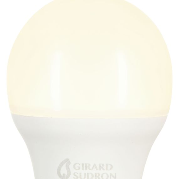 Sphérique G45 (2pcs) LED 270° 5.5W E27 2700K 470lm