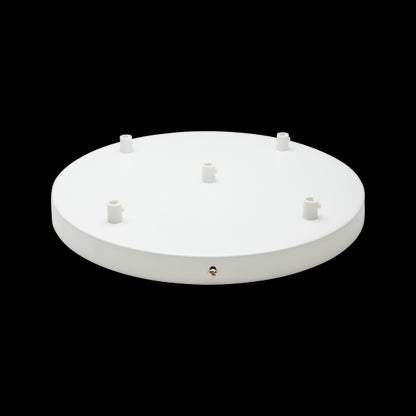 Plafonnier Acier D.300mm Blanc 5 Sorties + Arrêts Pour Câbles D.6mm