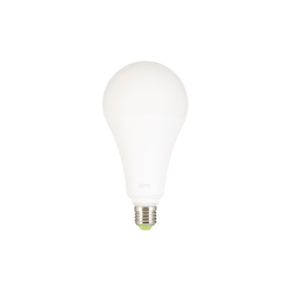 Globe A120 LED 330° 30W 2700K 2800Lm Dépoli