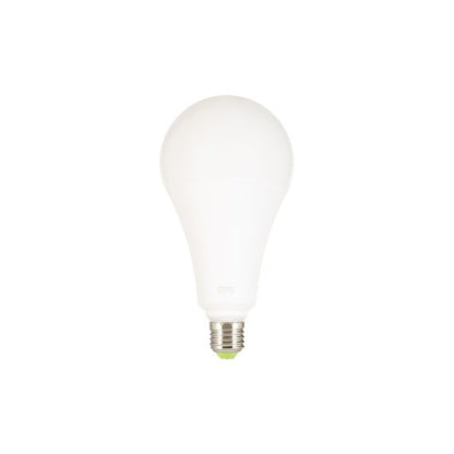 Globe A120 LED 330° 30W 2700K 2800Lm Dépoli