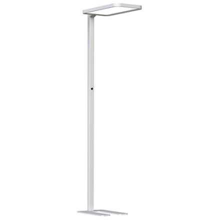 Calyce - Lampadaire LED 610x310x1950 80W 4000K 7040lm 120° blanc Dim PIR